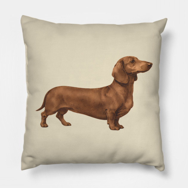 Vintage Dachshund Classic Sausage Dog Art Pillow by DonWillisJrArt