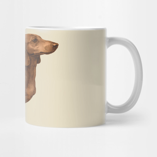 Vintage Dachshund Classic Sausage Dog Art by DonWillisJrArt