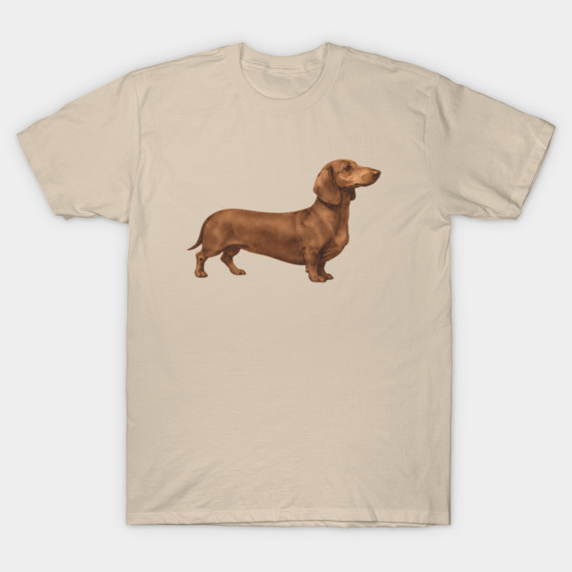 Vintage Dachshund Classic Sausage Dog Art T-Shirt by DonWillisJrArt