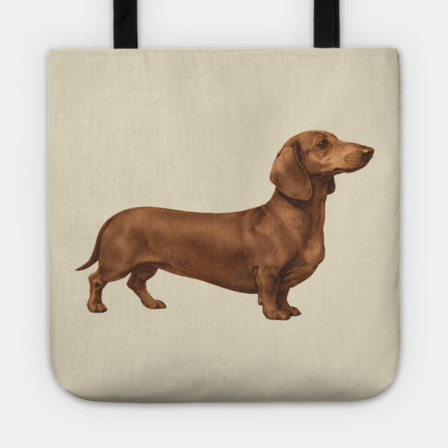 Vintage Dachshund Classic Sausage Dog Art Tote by DonWillisJrArt