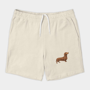 Vintage Dachshund Classic Sausage Dog Art Shorts
