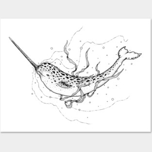 Narwhal Posters and Art
