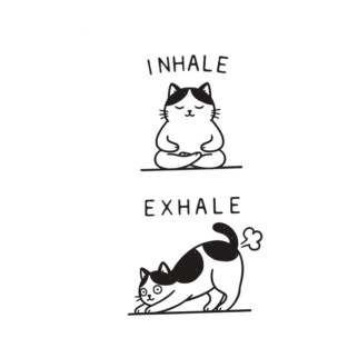 Inhale Exhale (Cat) T-Shirt