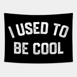 I Used To Be Cool Tapestry