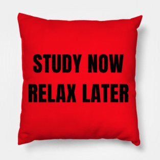 Study Now Relax Later – Student Motivation Design Pillow