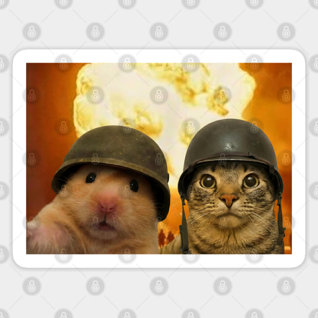 Funny Cat Hamster Explosion Selfie Sticker by Luxinda