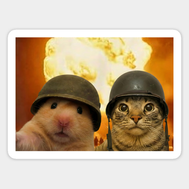 Funny Cat Hamster Explosion Selfie Magnet by Luxinda