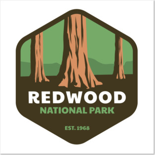 Redwood National park Posters and Art
