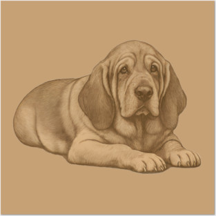 Bloodhound Dog – Vintage Style Hound Art Posters and Art