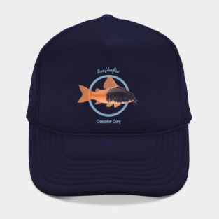 Concolor Cory 2 Hat
