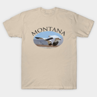 Got Your Six T-Shirt