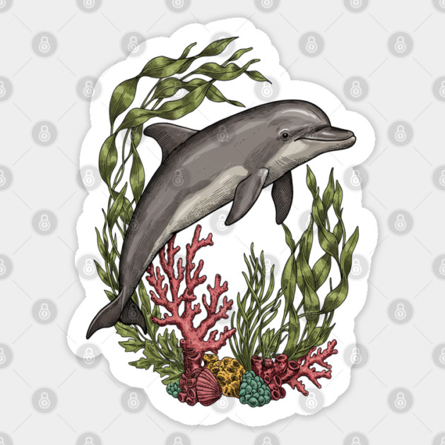 Vintage Marine Bottlenose Dolphin Sea Life Sticker by BirdsnStuff