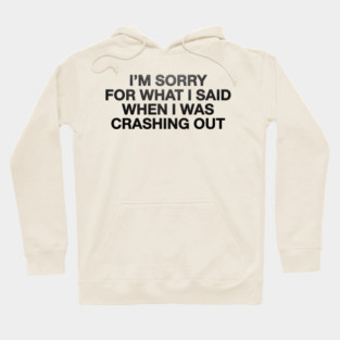I'm Sorry For What I Said When I Was Crashing Out Hoodie