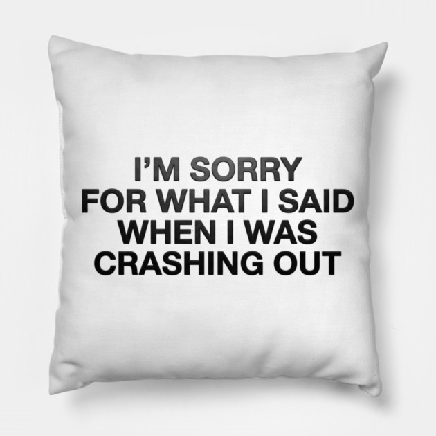 I'm Sorry For What I Said When I Was Crashing Out Pillow by ArtistTee ⭐⭐⭐⭐⭐