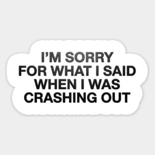 I'm Sorry For What I Said When I Was Crashing Out Magnet