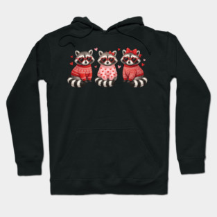 Three Raccoons Heart Sunglasses Valentine's Day Lover Hoodie