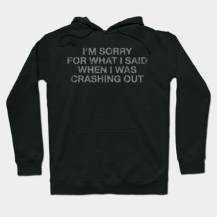 I'm Sorry For What I Said When I Was Crashing Lot Hoodie