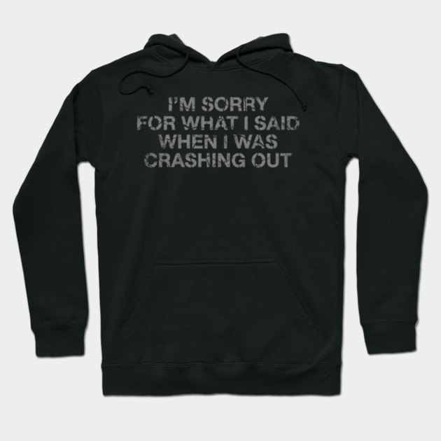 I'm Sorry For What I Said When I Was Crashing Lot Hoodie by ArtistTee ⭐⭐⭐⭐⭐