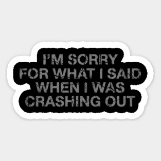 I'm Sorry For What I Said When I Was Crashing Lot Magnet