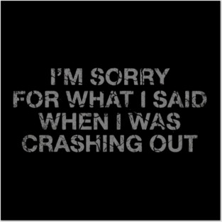 I'm Sorry For What I Said When I Was Crashing Lot Posters and Art