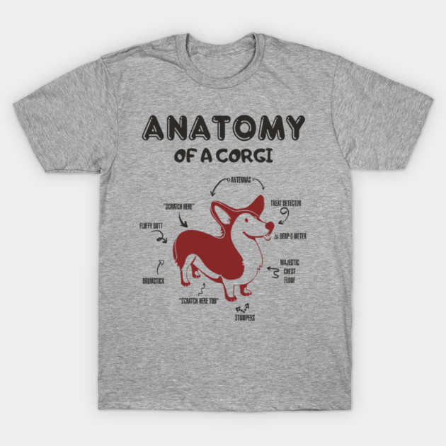 Anatomy of a Corgi Funny Cute Dog Chart T-Shirt by Anticorporati