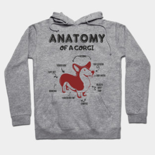 Anatomy of a Corgi Funny Cute Dog Chart Hoodie