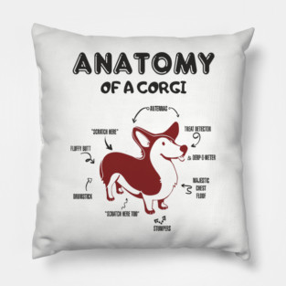 Anatomy of a Corgi Funny Cute Dog Chart Pillow