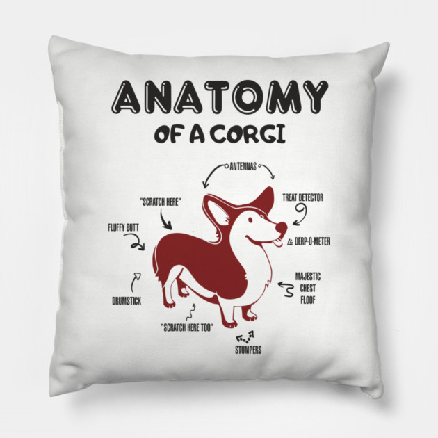 Anatomy of a Corgi Funny Cute Dog Chart Pillow by Anticorporati