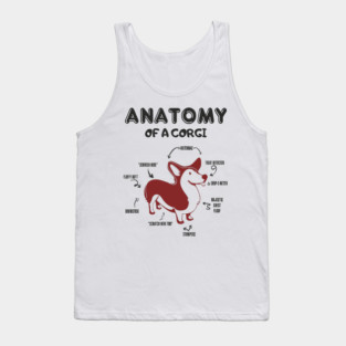 Anatomy of a Corgi Funny Cute Dog Chart Tank Top