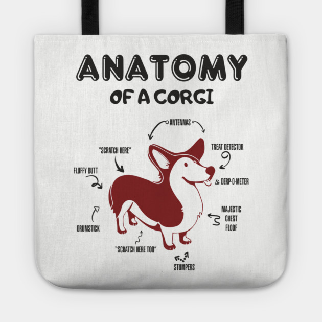 Anatomy of a Corgi Funny Cute Dog Chart Tote by Anticorporati