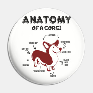 Anatomy of a Corgi Funny Cute Dog Chart Pin