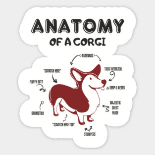 Anatomy of a Corgi Funny Cute Dog Chart Sticker