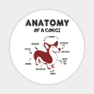 Anatomy of a Corgi Funny Cute Dog Chart Magnet