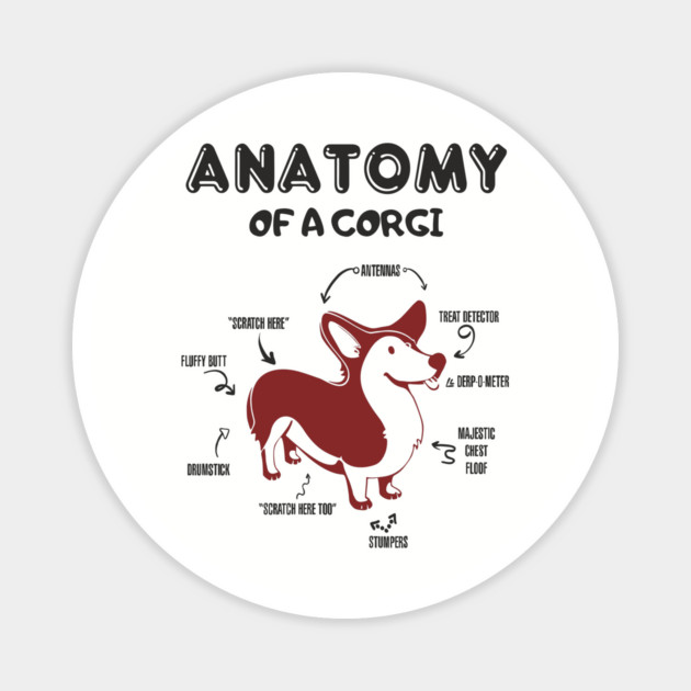 Anatomy of a Corgi Funny Cute Dog Chart Magnet by Anticorporati