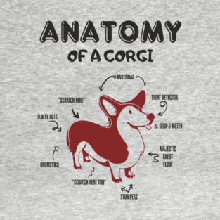 Anatomy of a Corgi Funny Cute Dog Chart T-Shirt