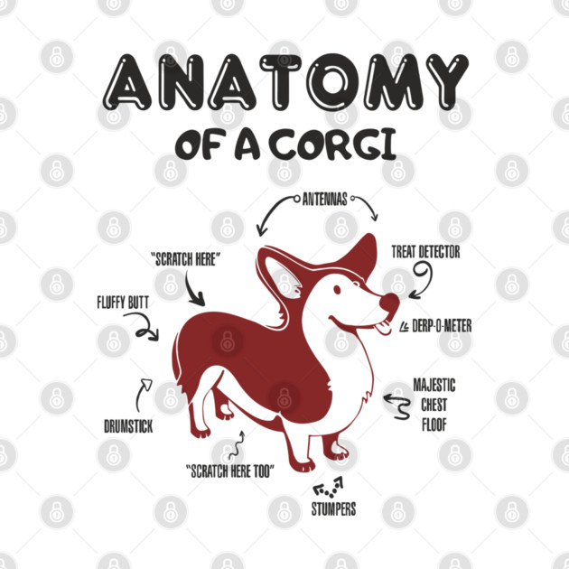Anatomy of a Corgi Funny Cute Dog Chart by Anticorporati