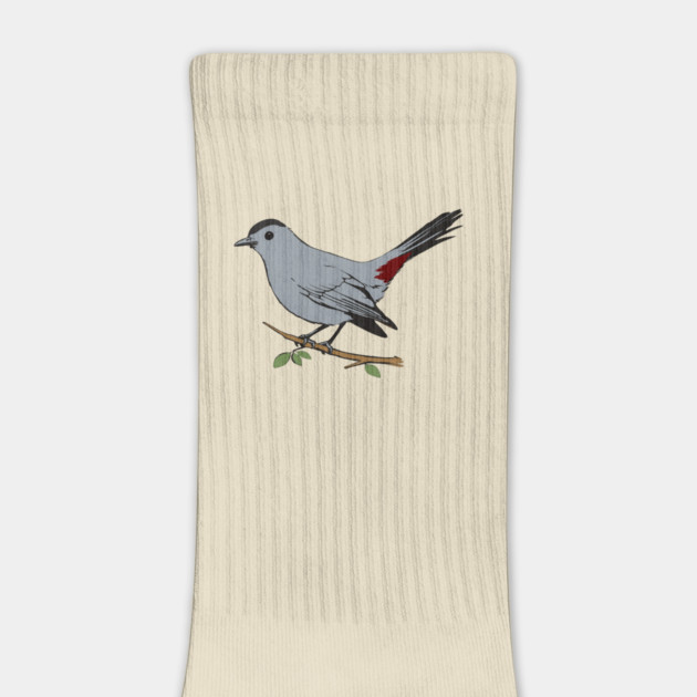 American Gray Catbird by DonWillisJrArt