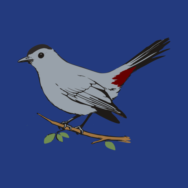 American Gray Catbird by DonWillisJrArt