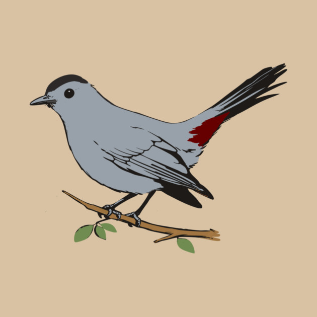 American Gray Catbird by DonWillisJrArt
