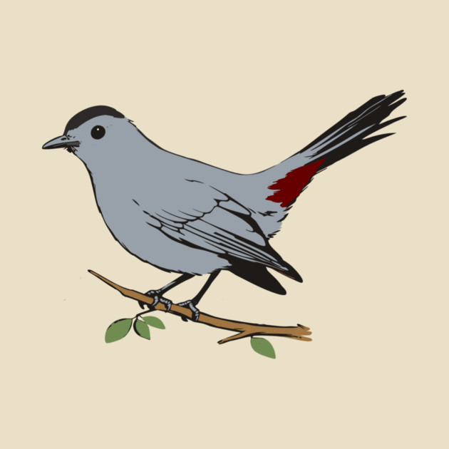 American Gray Catbird by DonWillisJrArt