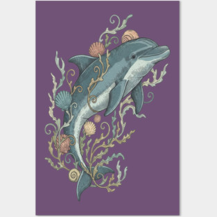 Nautical Bottlenose Dolphin and Seashells Posters and Art