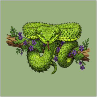 Bush Viper With Purple Flowers Posters and Art
