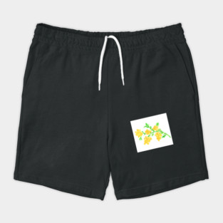 Branch with mimosa flowers on white background, plant, nature. Art, painting. Encaustic, art decoration, sketch. Illustration hand drawn modern Shorts