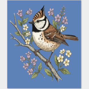 Vintage Crested Tit Botanical Scene Posters and Art