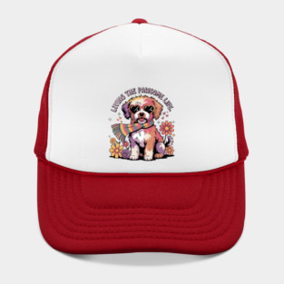 Jackapoo Hat