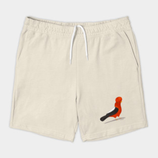 Andean Cock of The Rock Shorts
