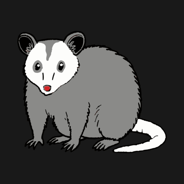 Possum — Subtle Funny Wildlife by DonWillisJrArt