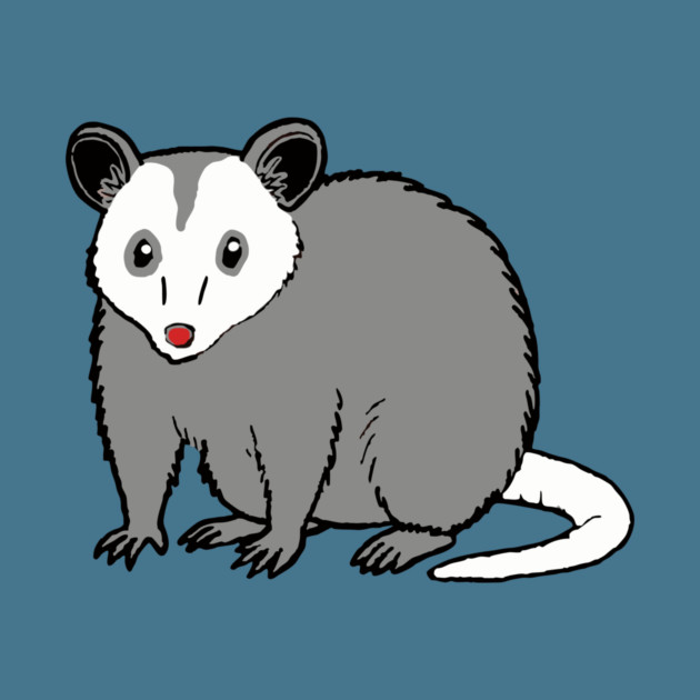 Possum — Subtle Funny Wildlife by DonWillisJrArt