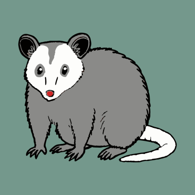 Possum — Subtle Funny Wildlife by DonWillisJrArt