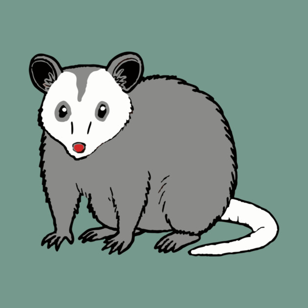 Possum — Subtle Funny Wildlife by DonWillisJrArt
